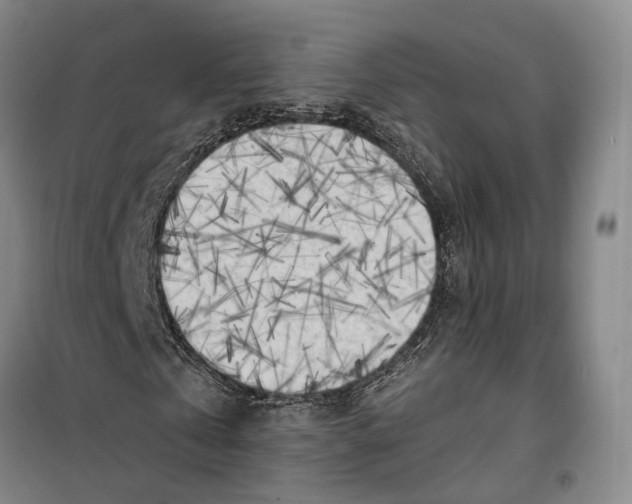 X0000099450769200805301512