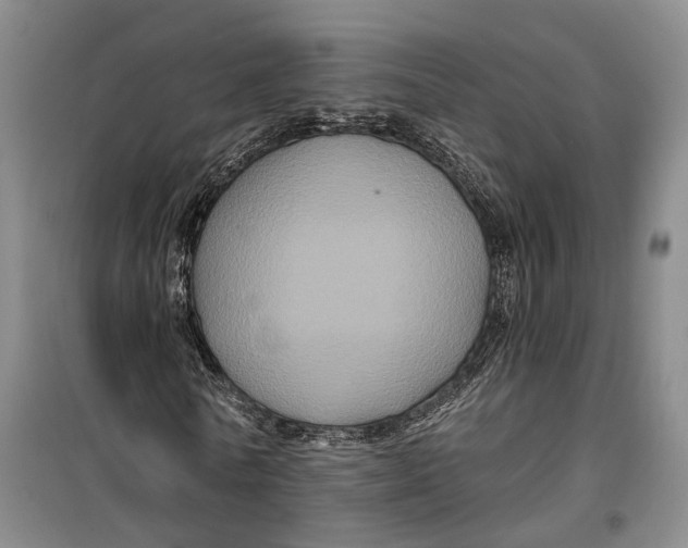 X0000099450770200805301512