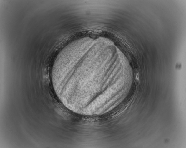 X0000099450771200805301512