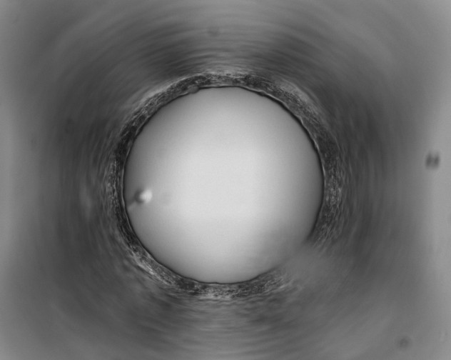 X0000099450773200805301512