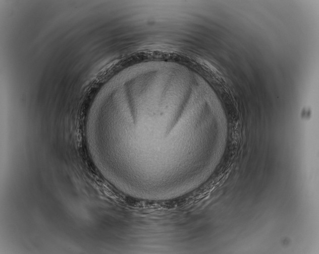 X0000099450774200805301512