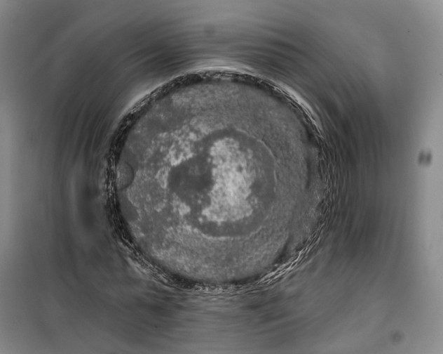 X0000099450775200805301512