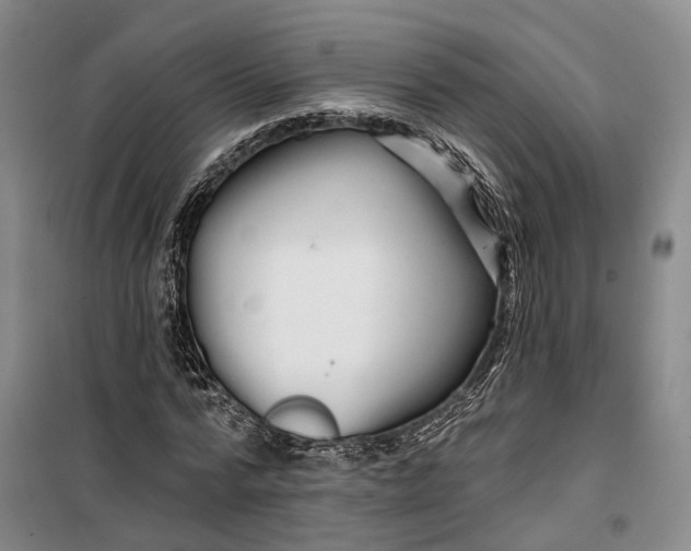 X0000099450776200805301511