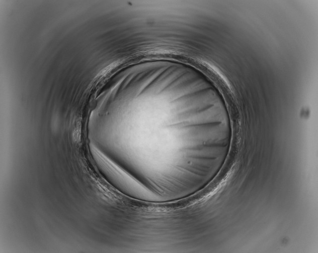 X0000099450777200805301511