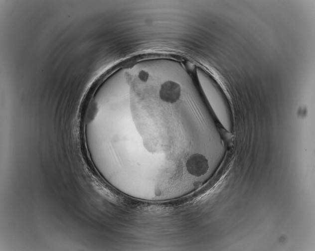 X0000099450779200805301511