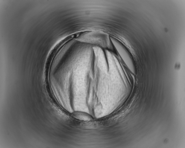 X0000099450780200805301511