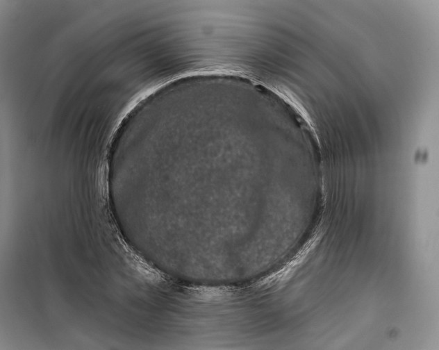 X0000099450781200805301511