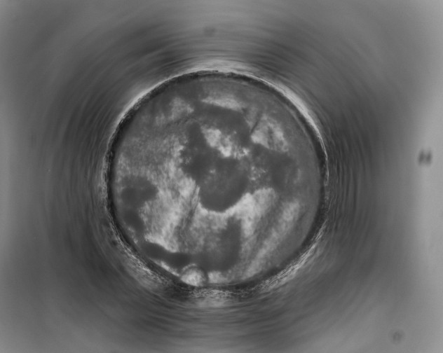 X0000099450783200805301511