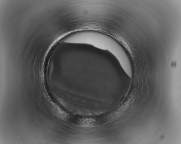 X0000099450784200805301511