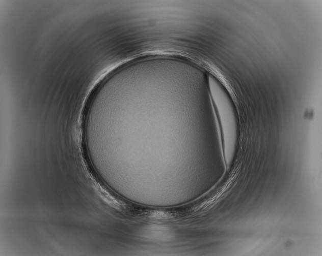 X0000099450787200805301511