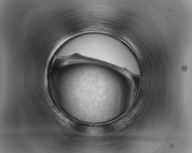 X0000099450788200805301511