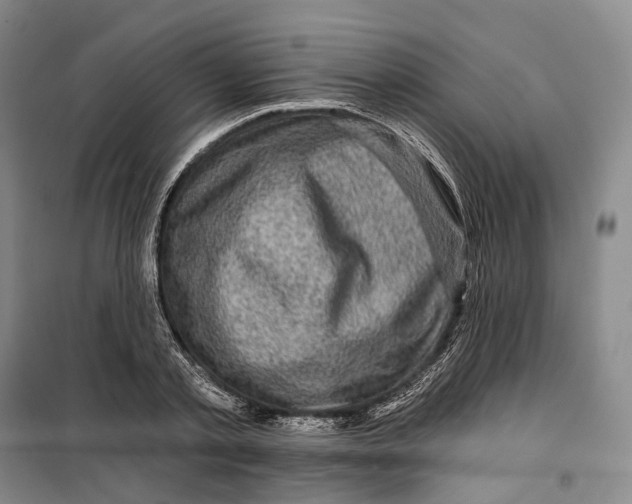 X0000099450789200805301511