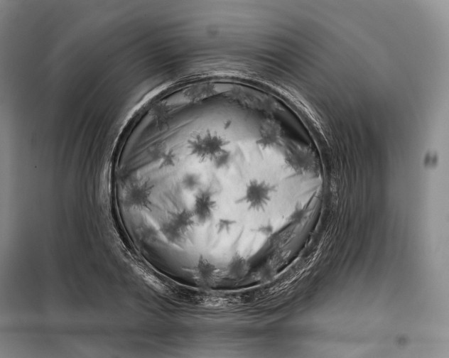 X0000099450790200805301511