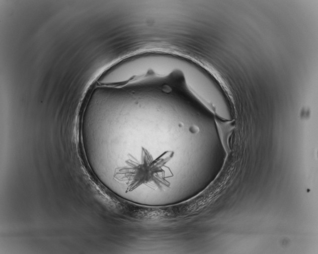 X0000099450791200805301511