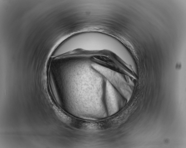 X0000099450792200805301511