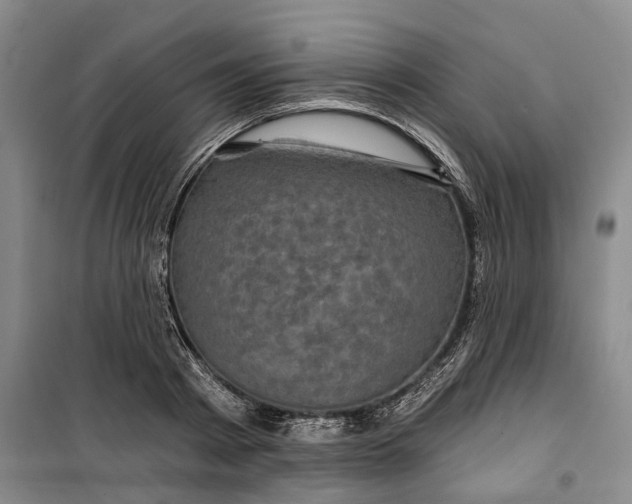 X0000099450793200805301511