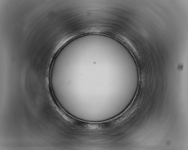 X0000099450794200805301511