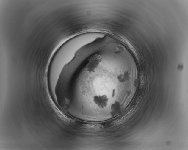 X0000099450795200805301511