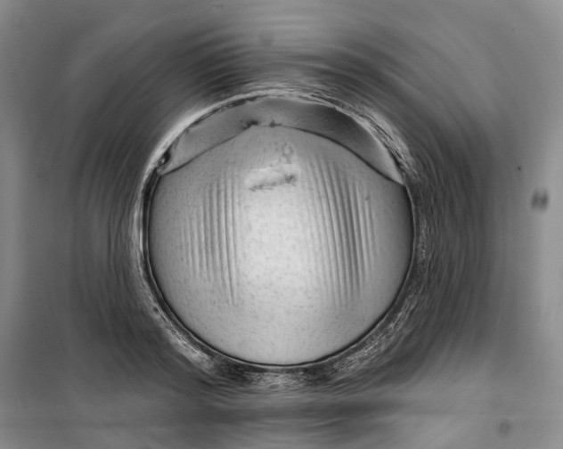 X0000099450796200805301511