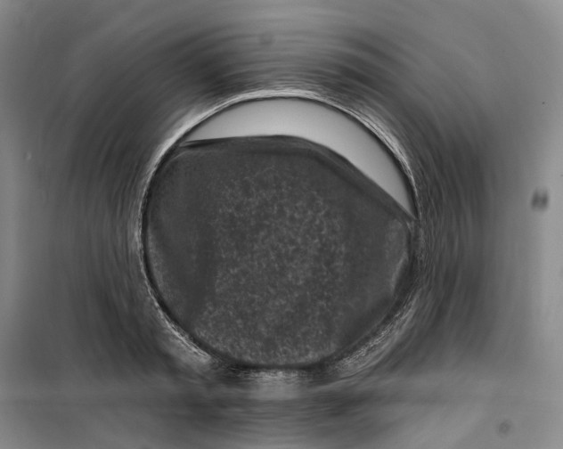 X0000099450797200805301511