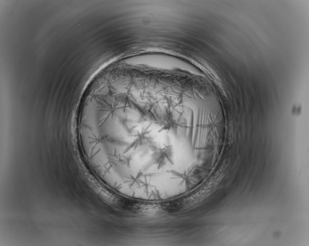 X0000099450798200805301511