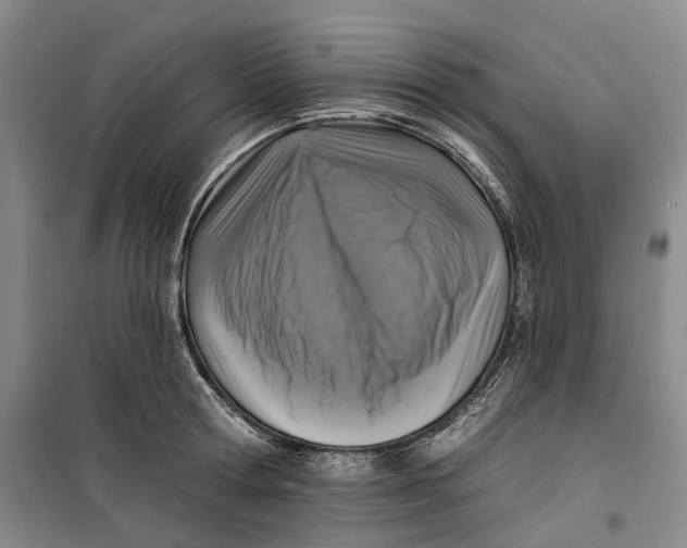 X0000099450802200805301511