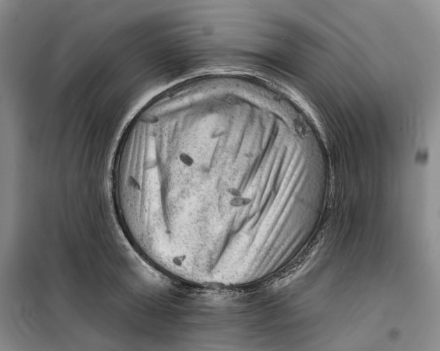 X0000099450803200805301511