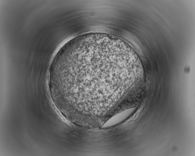 X0000099450804200805301511