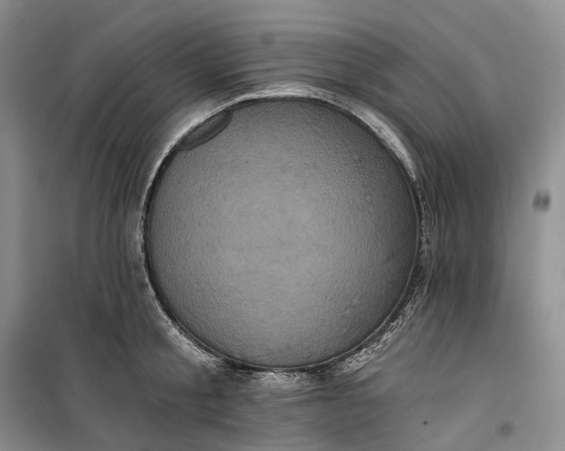 X0000099450805200805301511