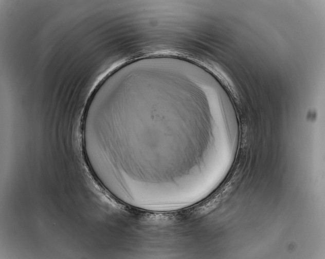 X0000099450806200805301511