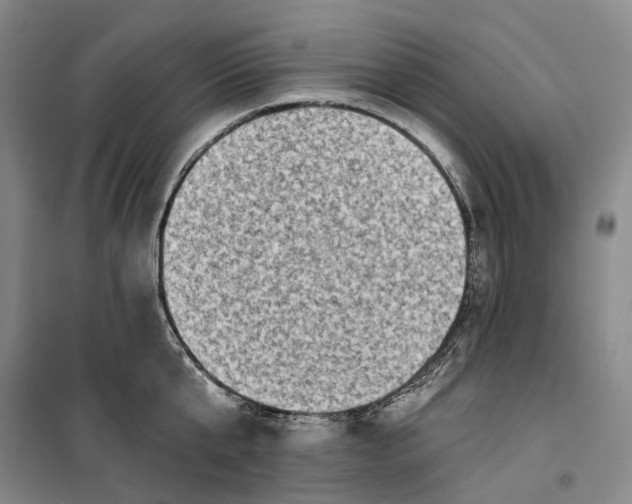 X0000099450807200805301511