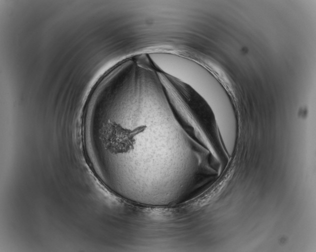 X0000099450808200805301511