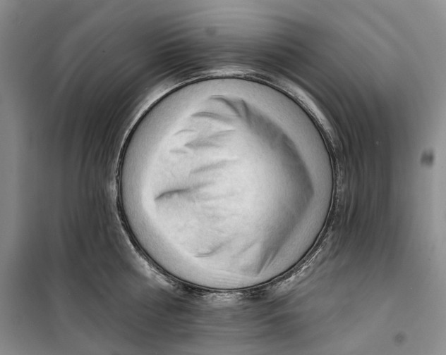 X0000099450810200805301511