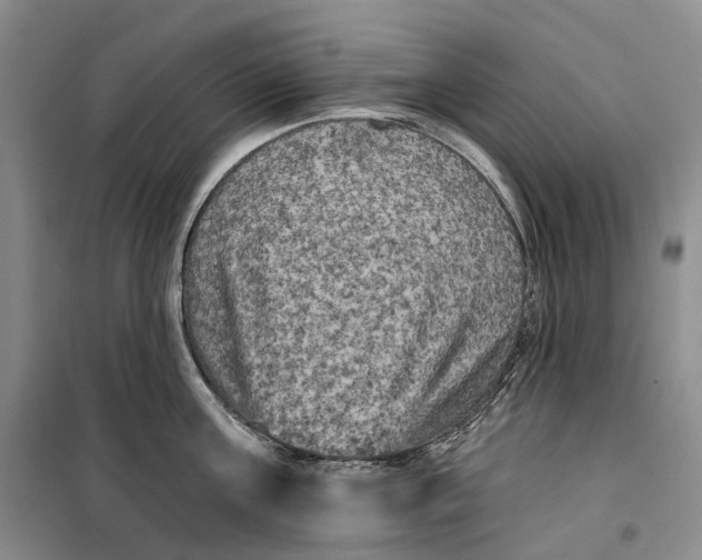 X0000099450811200805301511