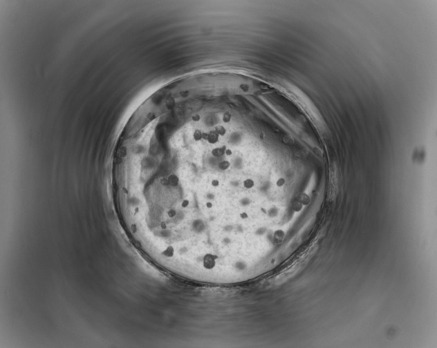 X0000099450812200805301511