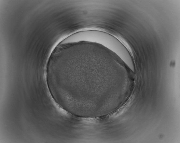 X0000099450813200805301511