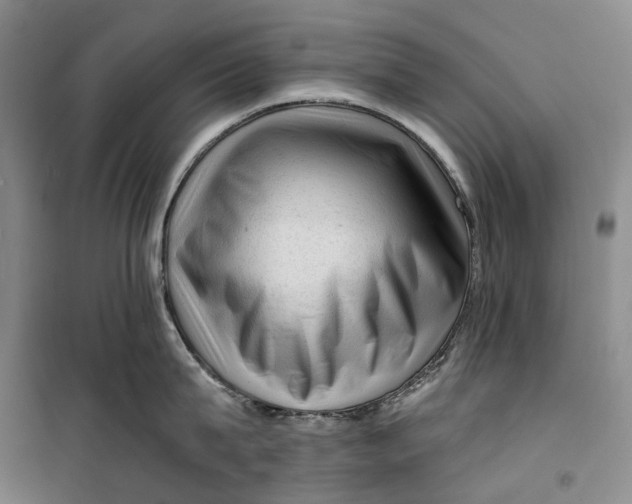 X0000099450815200805301511