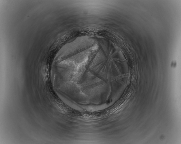 X0000099450818200805301510