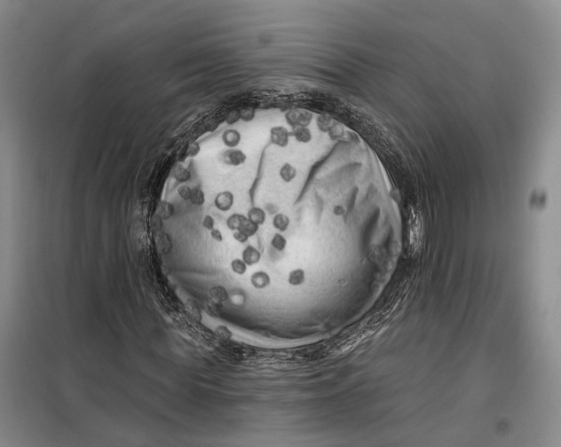 X0000099450819200805301510