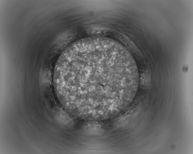 X0000099450820200805301510