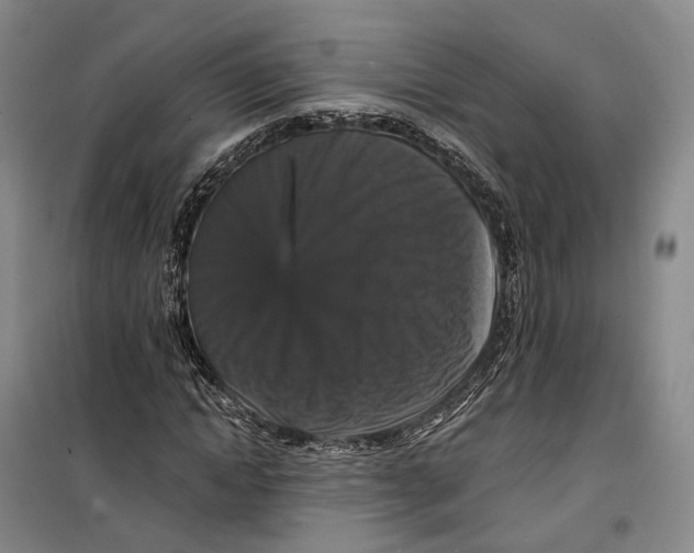 X0000099450822200805301510