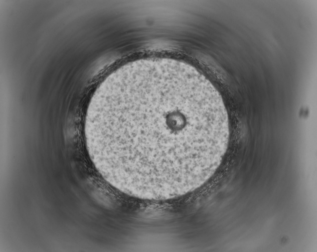 X0000099450824200805301510