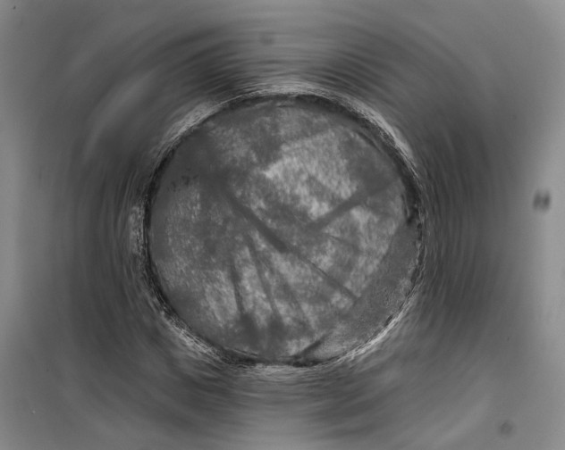 X0000099450825200805301510