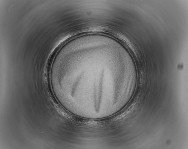 X0000099450827200805301510