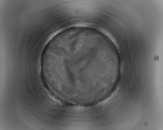 X0000099450829200805301510