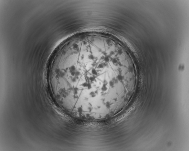 X0000099450830200805301510