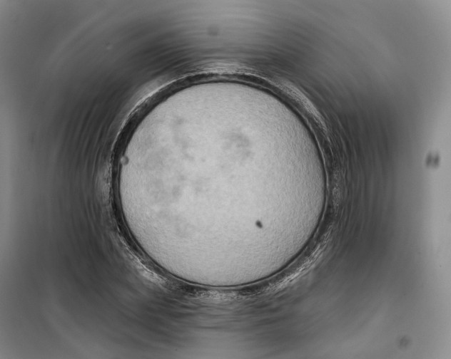 X0000099450831200805301510