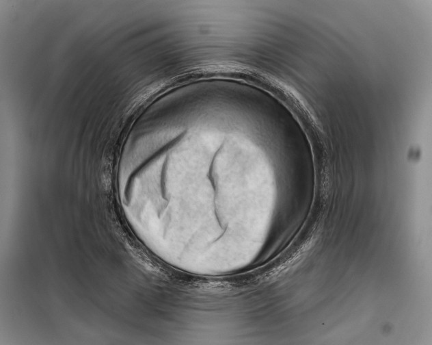 X0000099450833200805301510