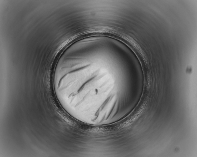 X0000099450834200805301510