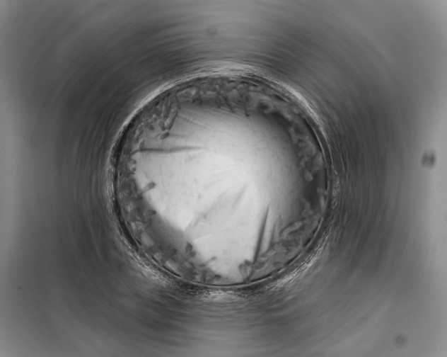 X0000099450835200805301510